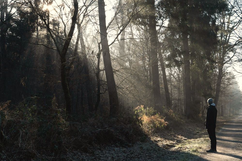 Una persona de pie en un camino de bosque, mirando hacia la luz que entra entre los árboles.